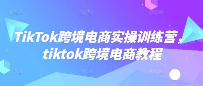 TikTok跨境电商实操训练营，tiktok跨境电商教程-中创资源网