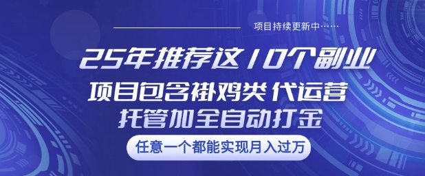 25年推荐这10个副业项目包含褂鸡类、代运营托管类、全自动打金类【揭秘】-中创资源网
