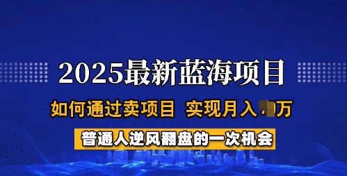 2025蓝海项目，普通人如何通过卖项目，实现月入过W，全过程【揭秘】-中创资源网
