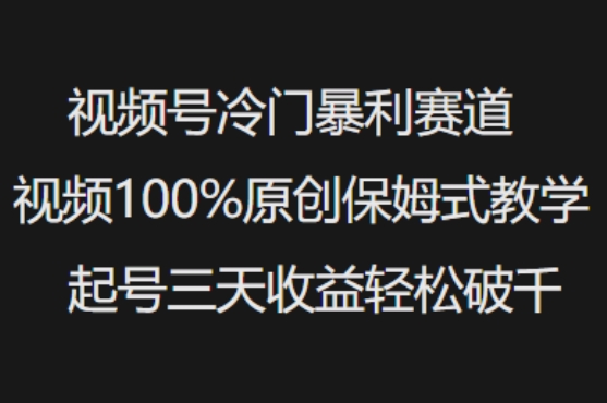 视频号冷门暴利赛道视频100%原创保姆式教学起号三天收益轻松破千-中创资源网