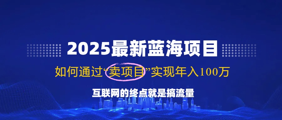 （14305期）2025最新蓝海项目，零门槛轻松复制，月入10万+，新手也能操作！-中创资源网